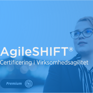 Mentorix AgileShift online