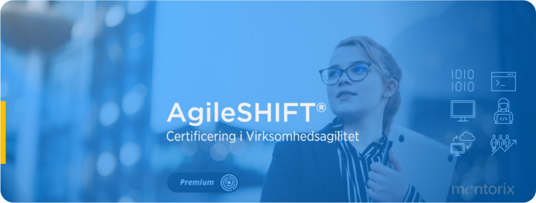 Mentorix AgileShift online