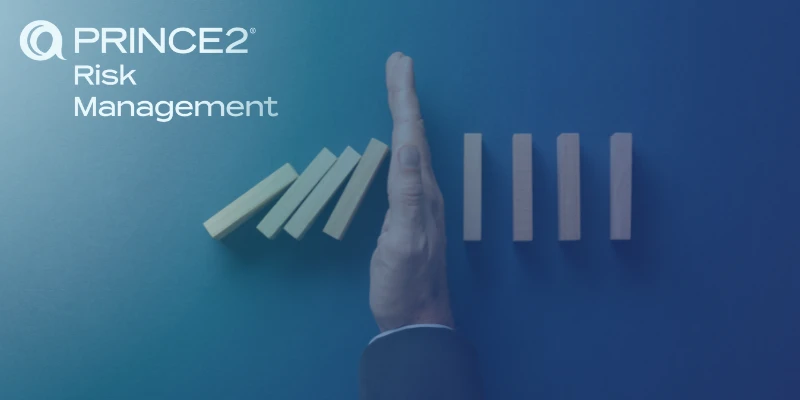 Risk manager Risikostyring