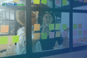 Scrum Product Owner